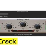 Audified – TNT Voice Executor