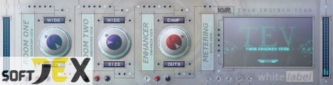 Twin Engined Verb vst cracked